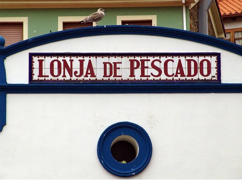 Pescaderia
